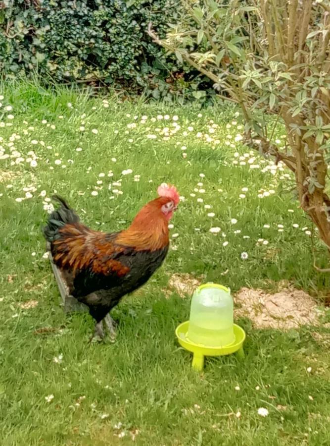 La Pommeraie 76 Saint-Ouen-sous-Bailly Kültér fotó